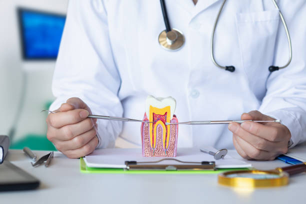Best Emergency Treatment for Toothache in Channel Lake, IL